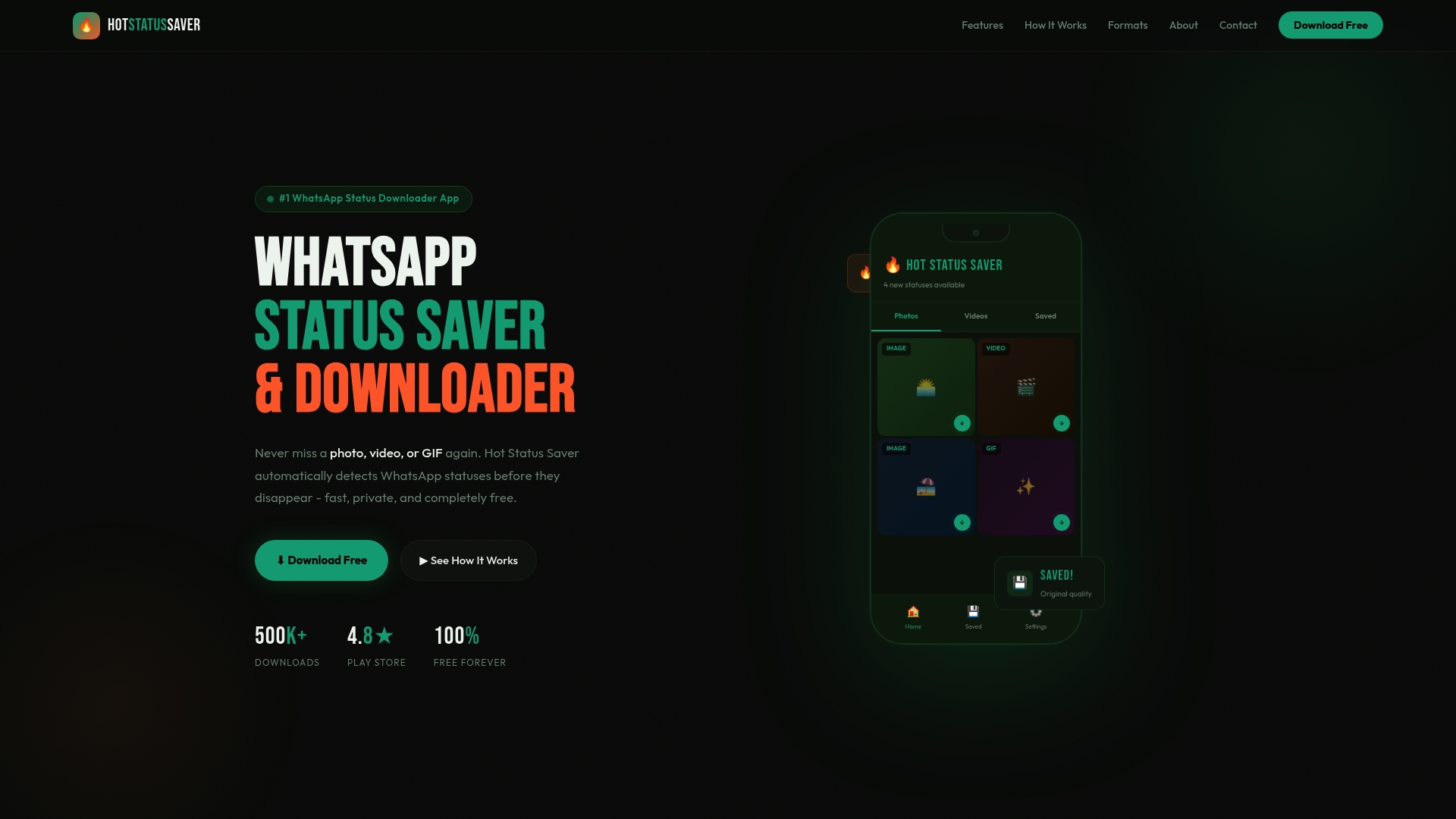  hot status saver features